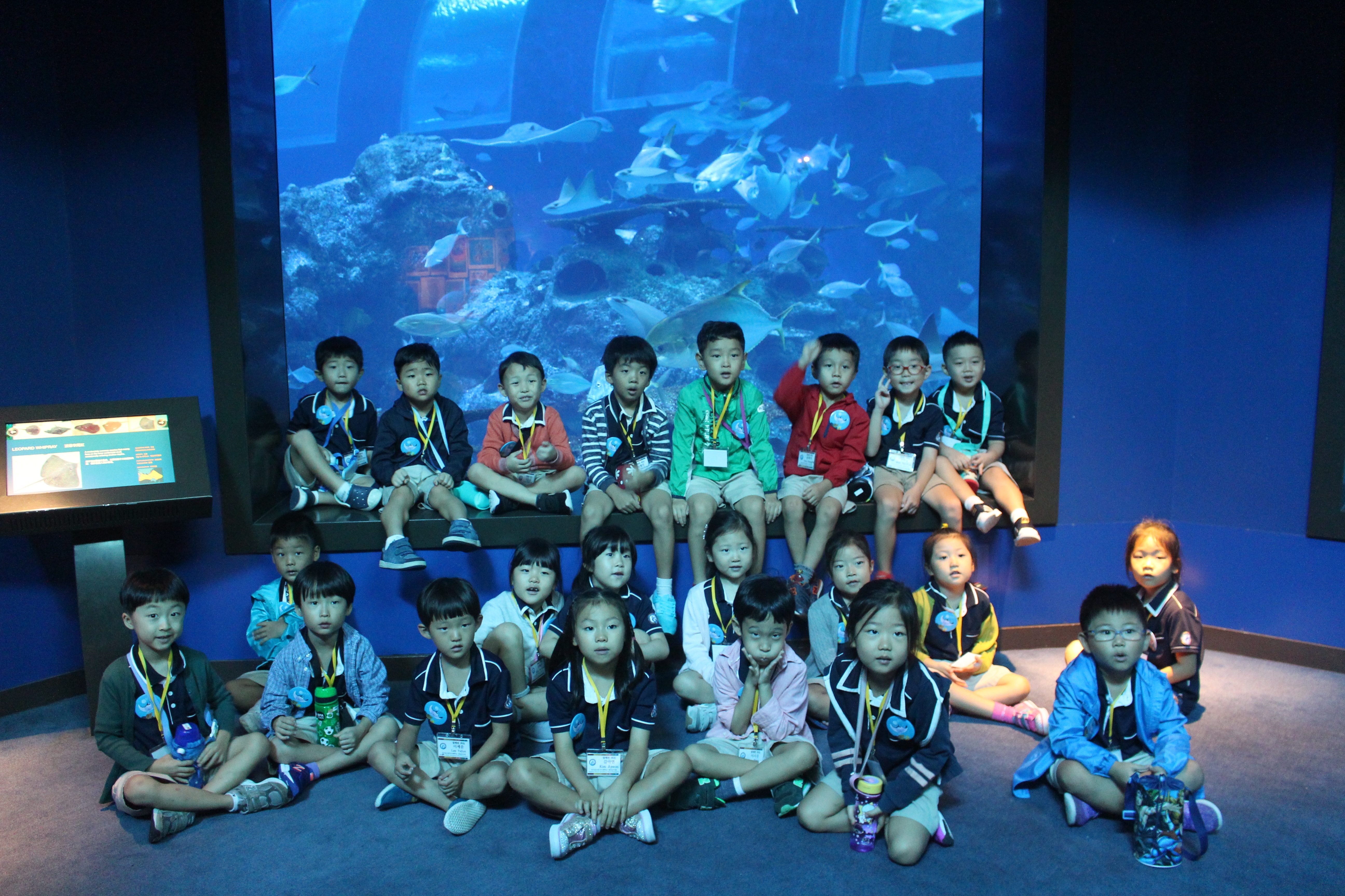 [유치원] SEA 아쿠아리움 현장체험학습 (K1,2)